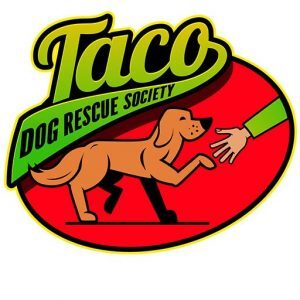 Taco Dog Rescue Society